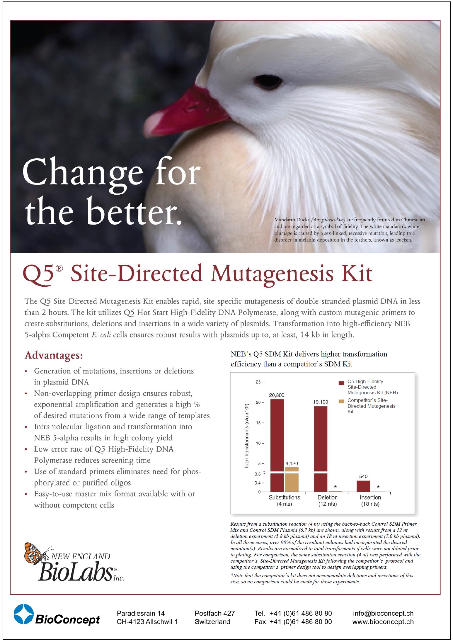 NEB Q5 Site Directed Mutagenesis Kit NEB Q5 Site Directed Mutagenesis Kit